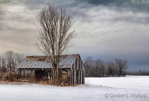 Barn In A Field_05958.jpg - Photographed near Smiths Falls, Ontario, Canada.